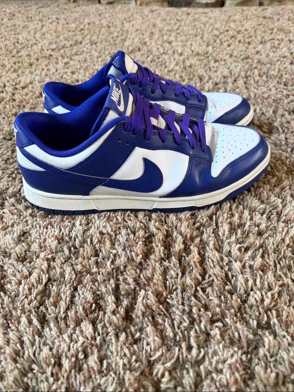 Nike Dunk Low Retro “Concord” Men’s Size 11 DV0833-103